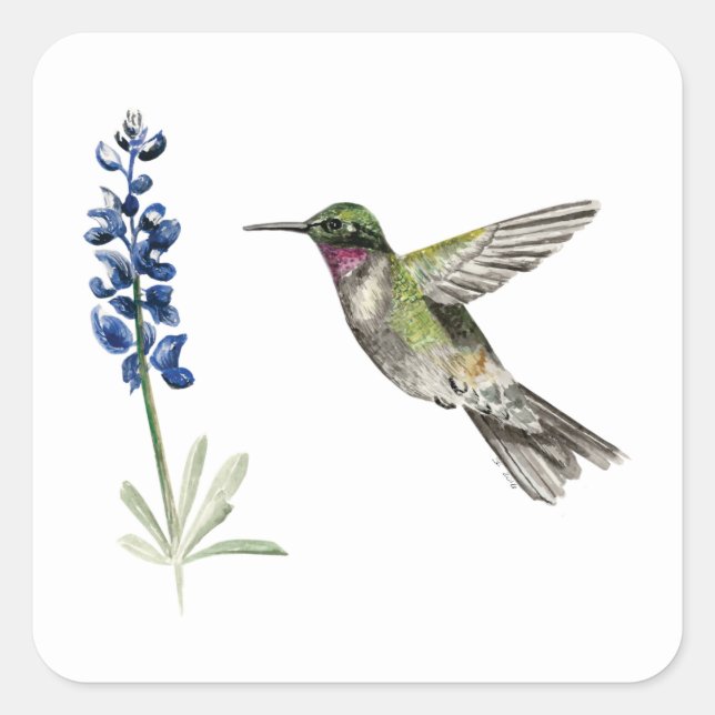 Hummingbird and Bluebonnet Square Sticker (Front)