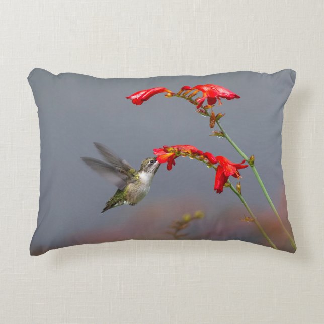 Hummingbird And Crocosmia Decorative Cushion (Front)