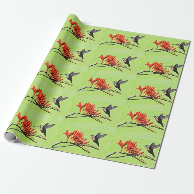 Hummingbird and Crocosmia Painting Wrapping Paper (Unrolled)