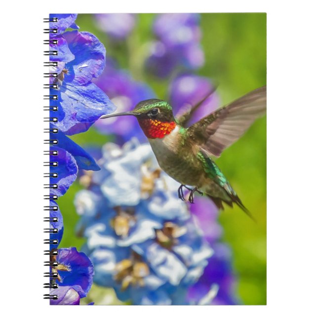 Hummingbird And Delphinium Spiral Notebook (Front)