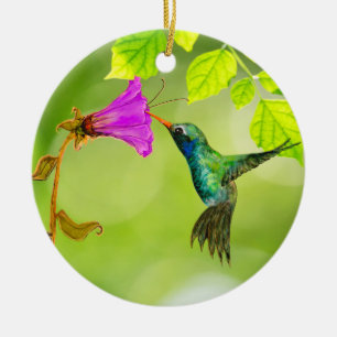Hummingbird and Flower Hanging Pull Ceramic Tree Decoration