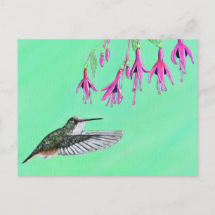 Hummingbird and Fuchsia Painting Postcard