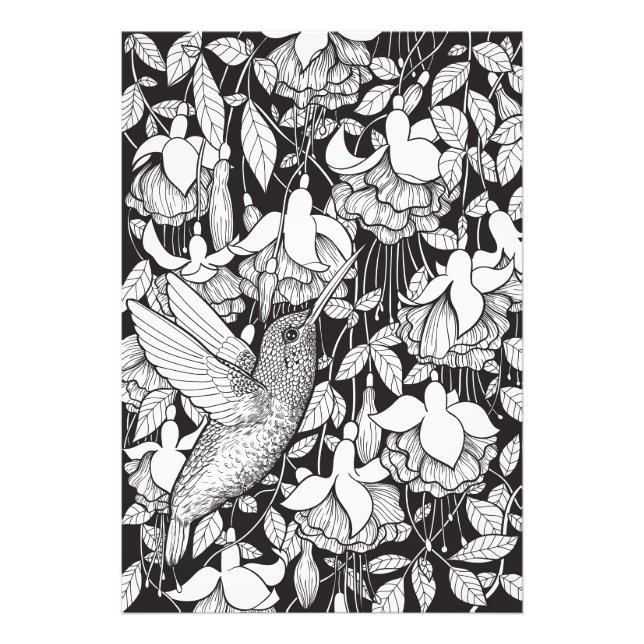 Hummingbird and fuchsia photo print (Front)
