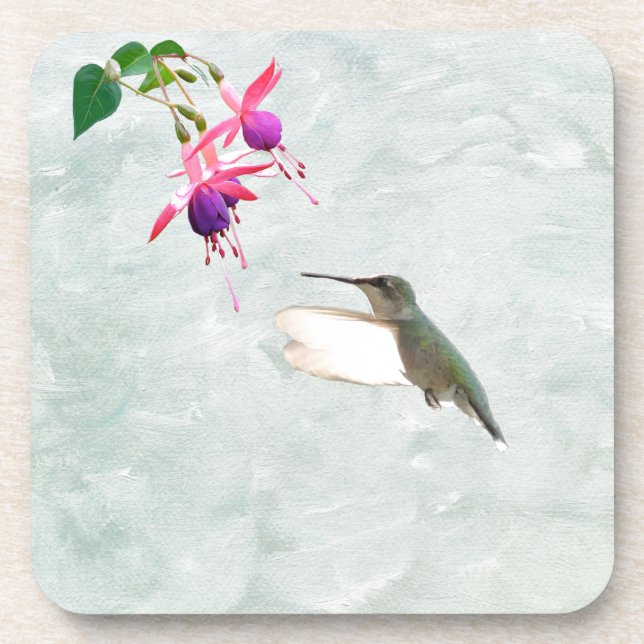 Hummingbird and Fuschia Coaster (Front)