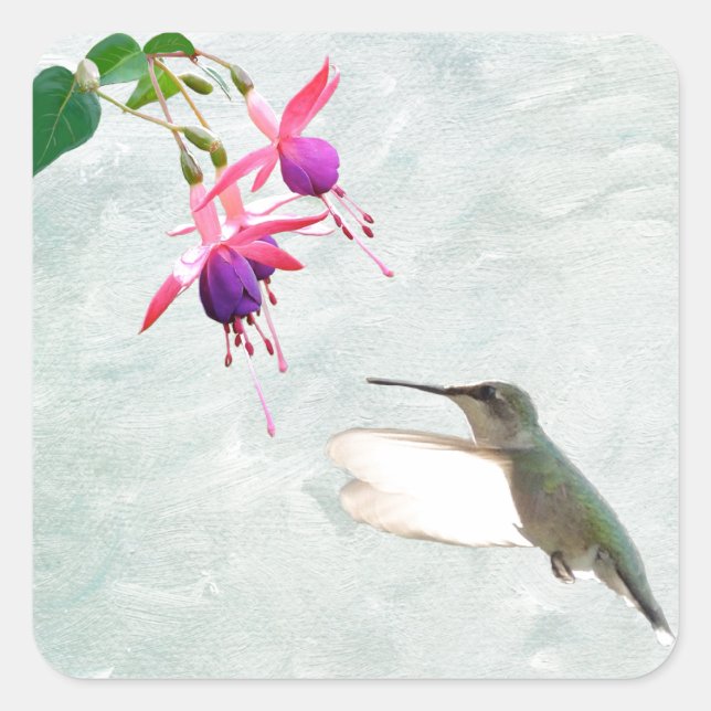 Hummingbird and Fuschia Square Sticker (Front)