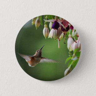 Hummingbird And Fushia Flower Plant Button
