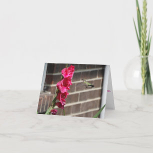 Hummingbird and Gladiola Flower Card