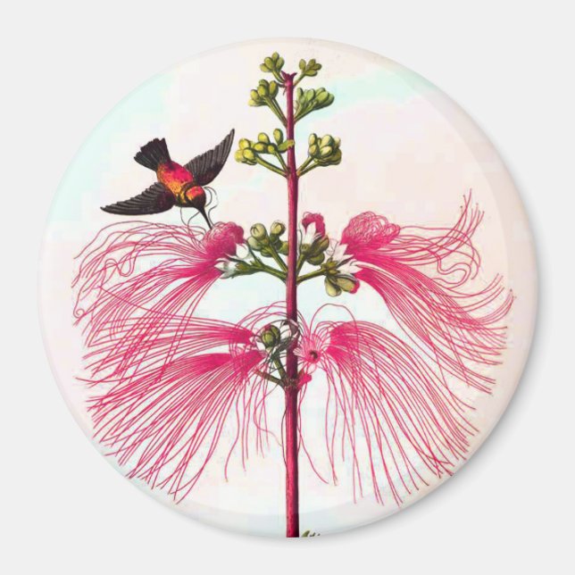 hummingbird and mimosa magnet (Front)