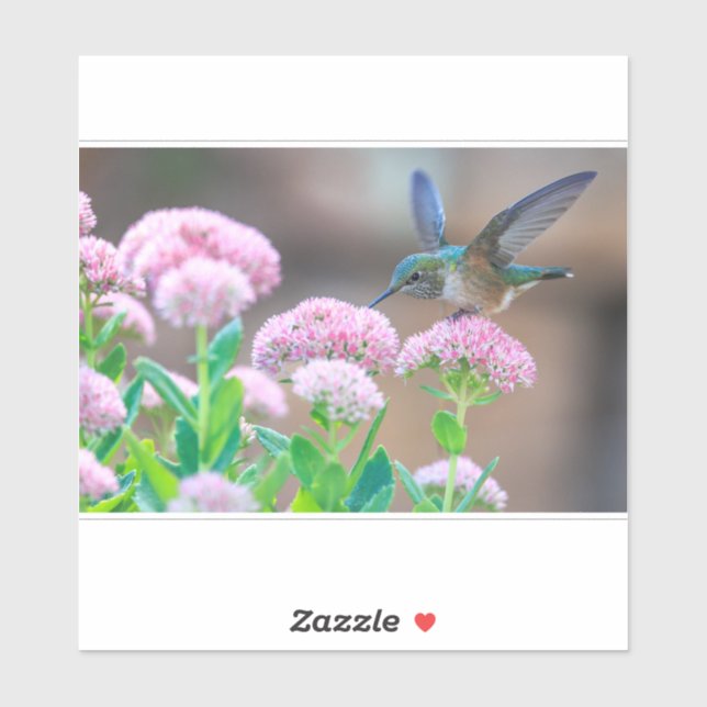 Hummingbird And Nectar  (Sheet)