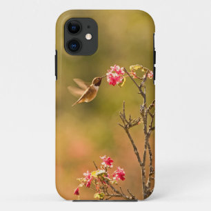 Hummingbird and Pink Flowers Case-Mate iPhone Case