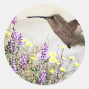 Hummingbird and Wildflowers Digital Art Classic Round Sticker