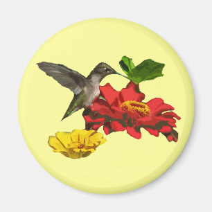 Hummingbird and Zinnias Magnet