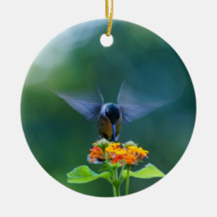 Hummingbird Angel Wings Ornament
