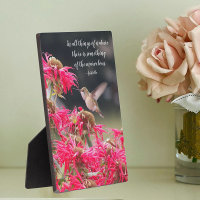 Hummingbird Aristotle Philosophical Quote