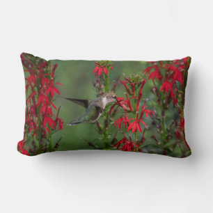 Hummingbird At Cardinal Flower Lumbar Cushion