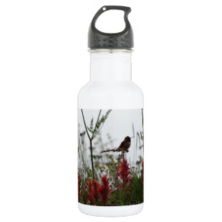 Hummingbird at Dusk 532 Ml Water Bottle