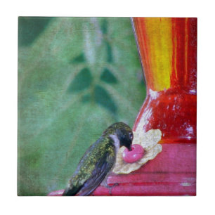 Hummingbird at Feeder Tile