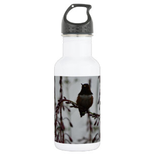 Hummingbird at rest 532 ml water bottle