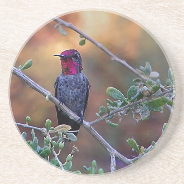 Hummingbird at sunset coaster (Front)