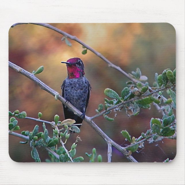 Hummingbird at sunset  mouse pad (Front)