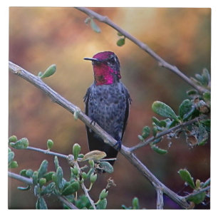Hummingbird at sunset tile