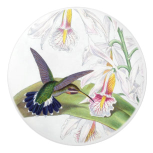 Hummingbird Bird Flower Floral Garden Knob