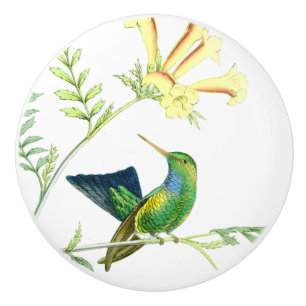 Hummingbird Bird Flower Floral Garden Knob
