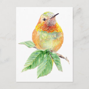 Hummingbird , Bird, Nature,Wildlife,Postcard Postcard