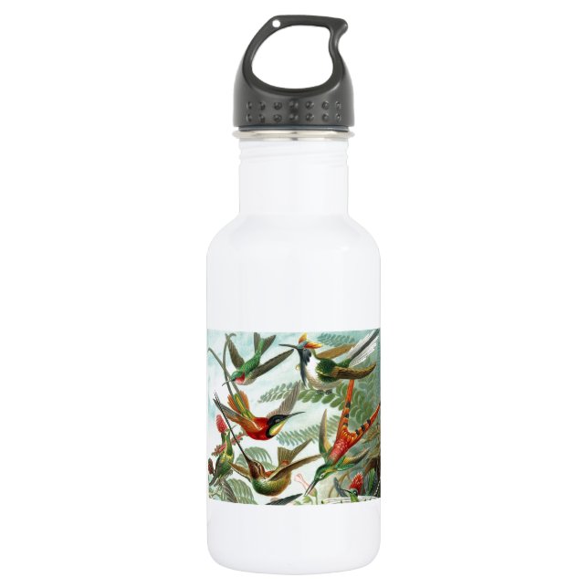 hummingbird bird wildlife classic painting 532 ml water bottle (Front)