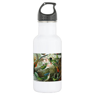 hummingbird bird wildlife classic painting 532 ml water bottle