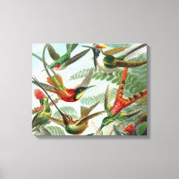 hummingbird bird wildlife classic painting