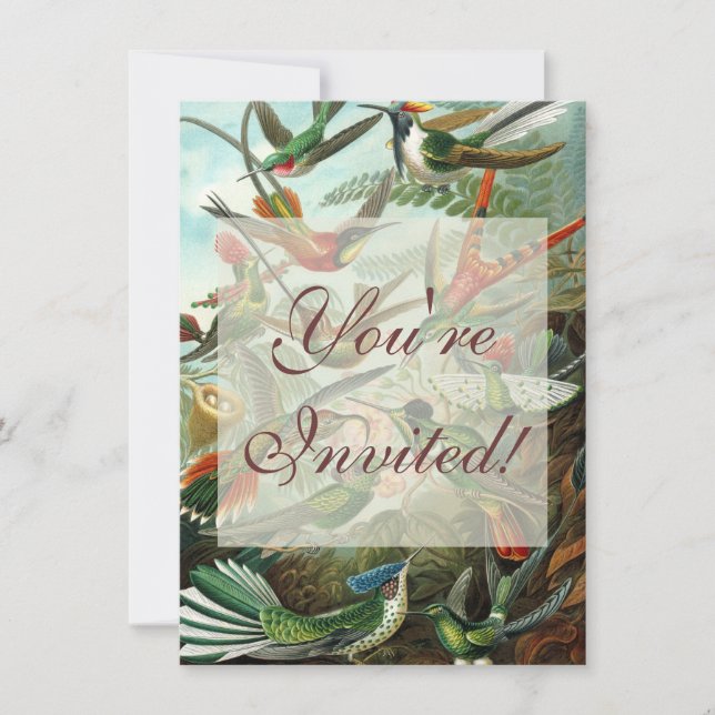 hummingbird bird wildlife classic painting invitation (Front)