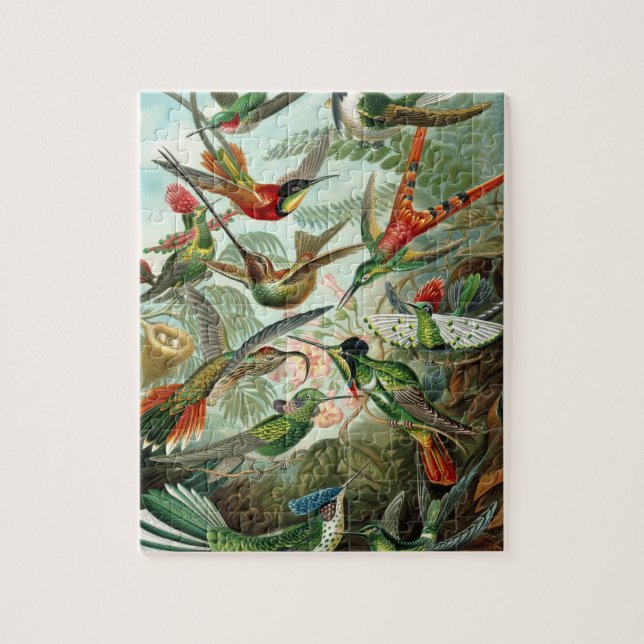 hummingbird bird wildlife classic painting jigsaw puzzle (Vertical)