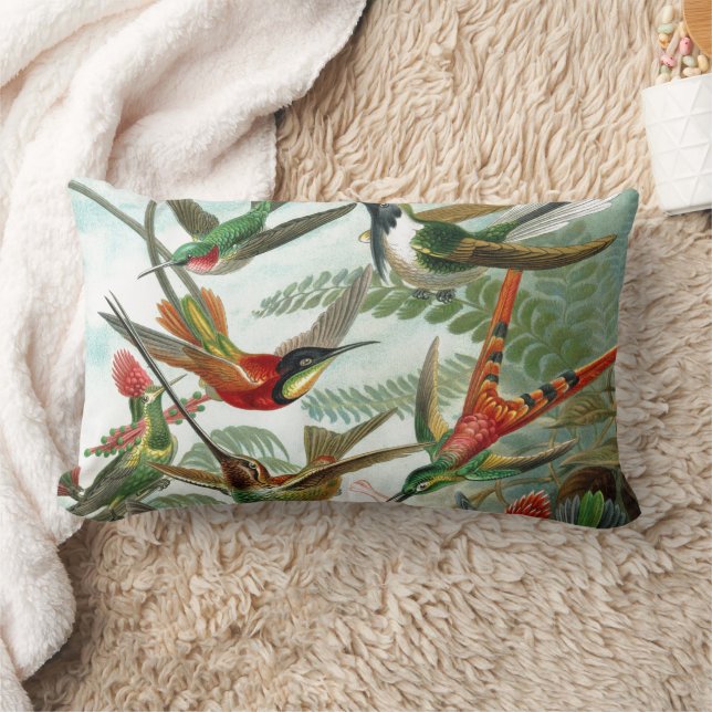 hummingbird bird wildlife classic painting lumbar cushion (Blanket)