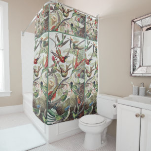 Hummingbird Bird Wildlife Classic Painting Shower Curtain