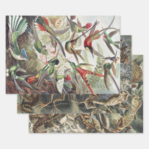 Hummingbird Bird Wildlife Classic Painting Wrapping Paper Sheet
