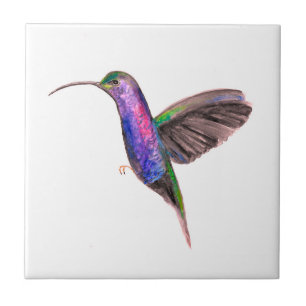 Hummingbird Bird Wildlife Watercolor Colourful Tile