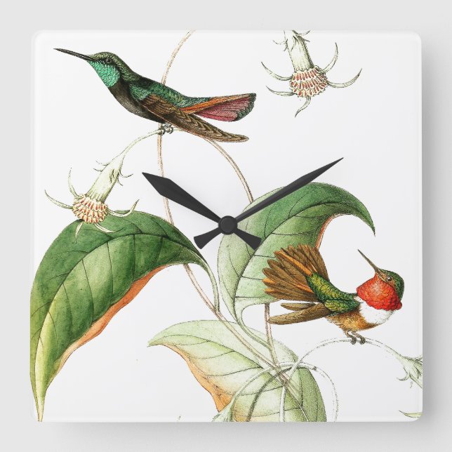 Hummingbird Birds Floral Flowers Wall Clock (Front)