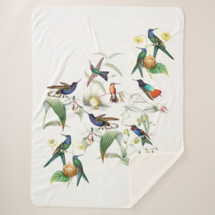 Hummingbird Birds Flowers Animals Sherpa Blanket
