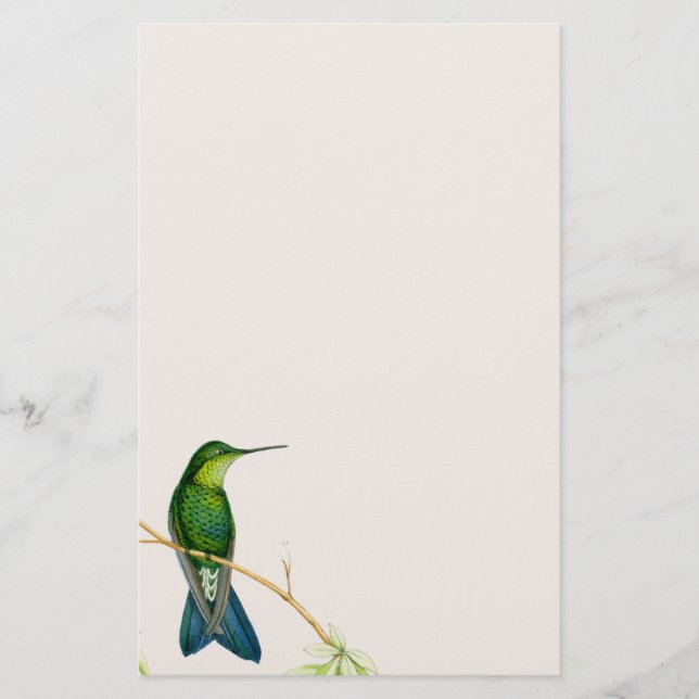 Hummingbird Birds Flowers Floral Wildlife Animals Stationery (Front)