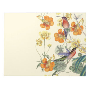 Hummingbird Birds Flowers Floral Wildlife Notepad