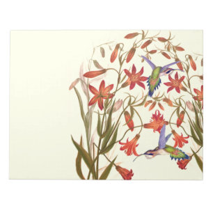 Hummingbird Birds Flowers Floral Wildlife Notepad