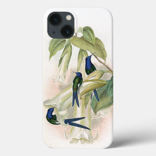 Hummingbird Birds iPhone 6 Case
