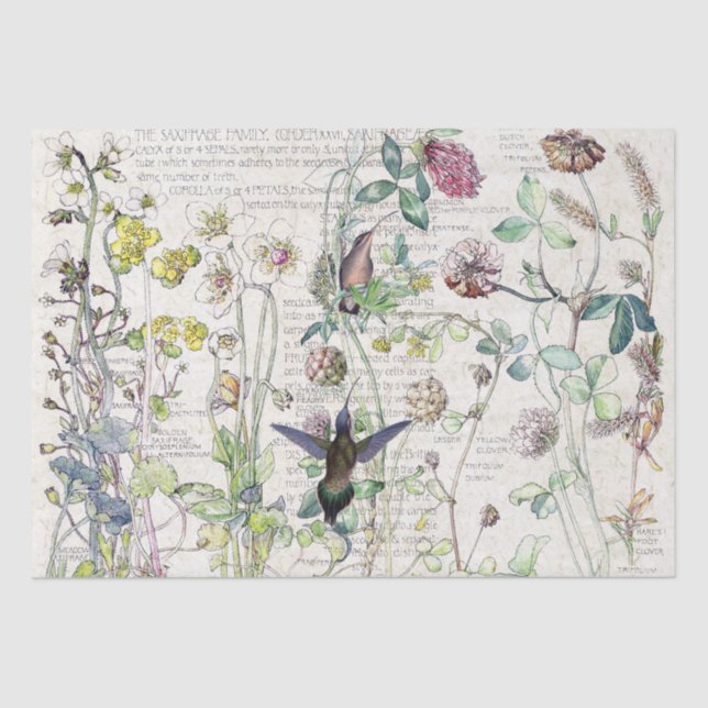 Hummingbird Birds Wildflower Flowers Tissue Paper (Front)
