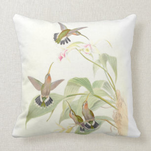 Hummingbird Birds Wildlife Animals Flowers Floral Cushion