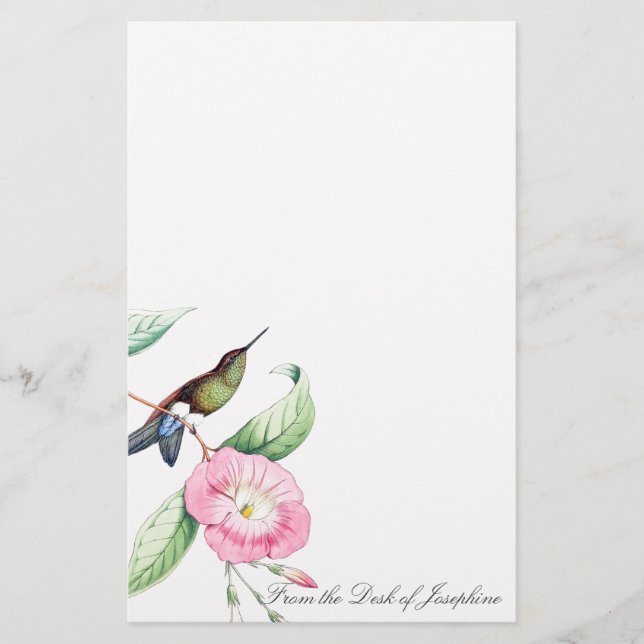Hummingbird Birds Wildlife Animals Stationery (Front)