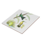 Hummingbird Birds Wildlife Flowers Floral Animals Tile (Side)