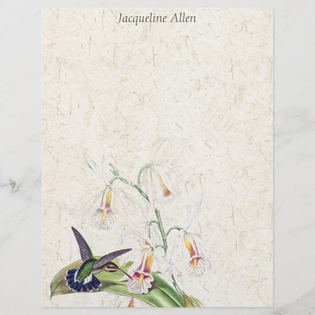Hummingbird Birds Wildlife Flowers Letterhead (Front)
