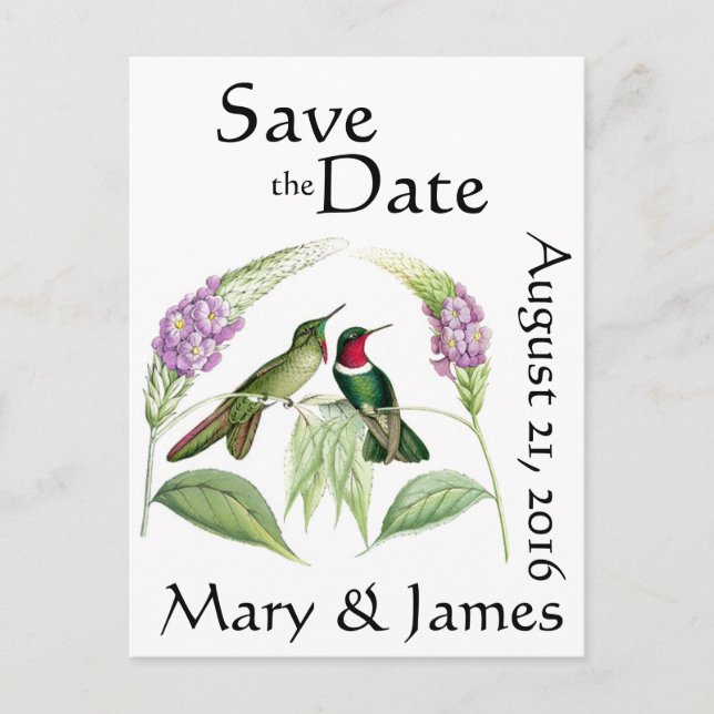 Hummingbird Birds Wildlife Flowers Save the Date Announcement Postcard (Front)