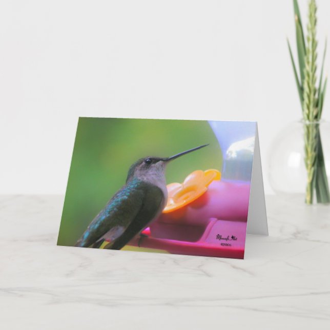 Hummingbird Birthday Card (Front)